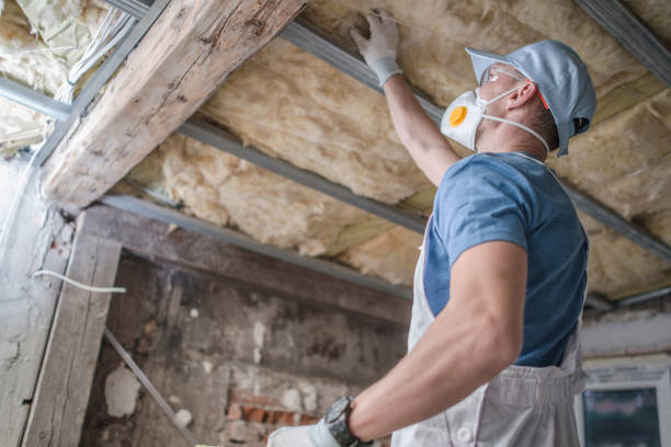 Best Insulation Maintenance and Repair in , HI